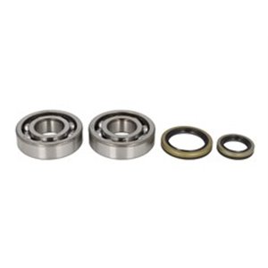 AB24-1021 Crankshaft bearings set with gaskets fits: SUZUKI RM 250 1996 200