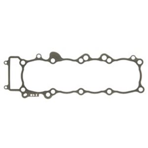 S410485006243 Cylinder base gasket fits   - Top1autovaruosad