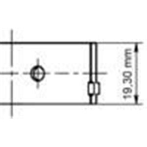 77 272 610 Conrod bearing set (0.25) fits: CHEVROLET ASTRA; DAEWOO EVANDA, L