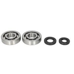 AB24-1047 Crankshaft bearings set with ga - Top1autovaruosad