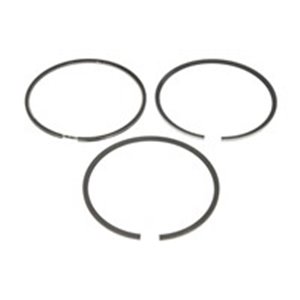 800007310000 Piston rings (102mm (STD) 2,94 3 3,5) fits: DEUTZ fits: FENDT 300