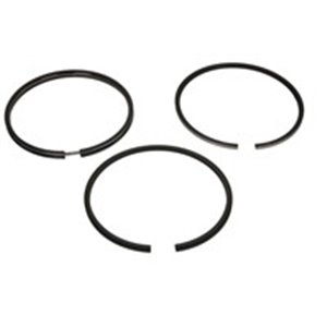 800012711000 Piston rings (102mm (STD) 5 2,94 2,5) fits: FENDT 200, 300, F; CA