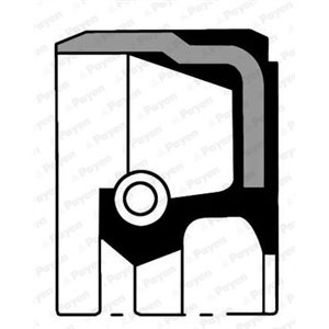 NA5132 Camshaft oil seal (100x125x13) fits: BENTLEY ARNAGE; BMW 3 (E90),