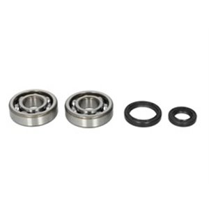 AB24-1014 Crankshaft bearings set with ga - Top1autovaruosad