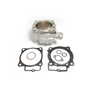 EC210-029 Cylinder  with gaskets  fits  H - Top1autovaruosad