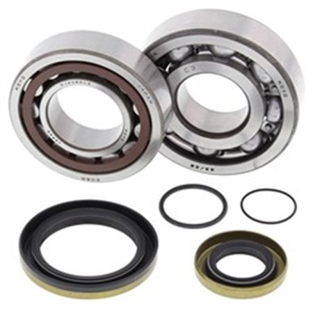 AB24-1115 Crankshaft bearings set with gaskets fits: GAS GAS EC, MC 200/250