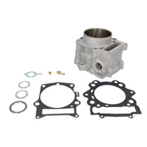 EC485-069 Cylinder  with gaskets  fits  Y - Top1autovaruosad