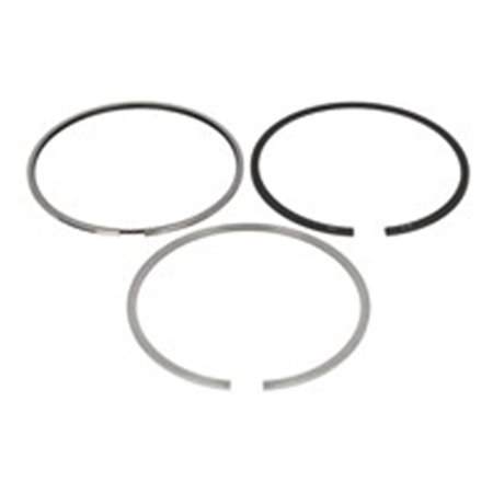 800057310000 Piston Ring Kit KOLBENSCHMIDT