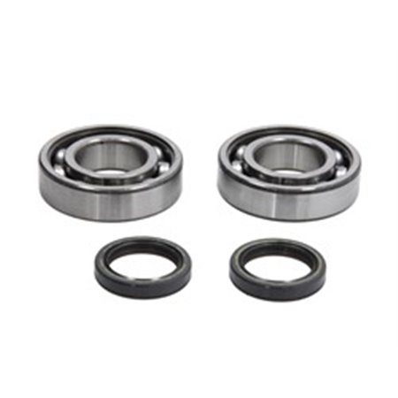 P400440444001 Crankshaft main bearing