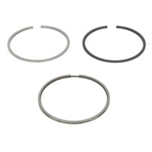 800018110000 Piston Ring Kit KOLBENSCHMIDT - Top1autovaruosad