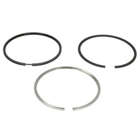 8932180000 Piston Ring Kit NE