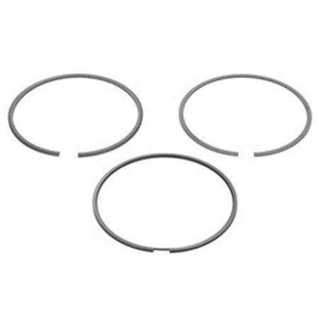 120050004700 Piston Ring Kit NE