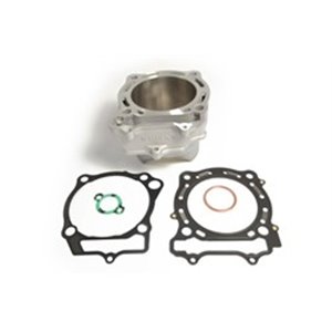 EC510-007 Cylinder  with gaskets  fits  S - Top1autovaruosad