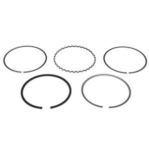 8937600000 Piston Ring Kit NE - Top1autovaruosad