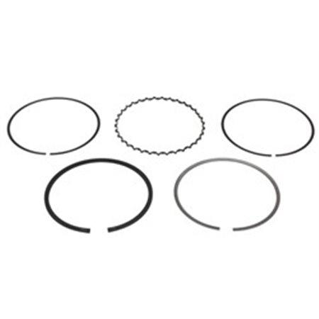 8937600000 Piston Ring Kit NE