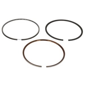 120015005900 Piston rings (101 STD 2,5 2 3 set per engine) fits: FENDT 307 CI 