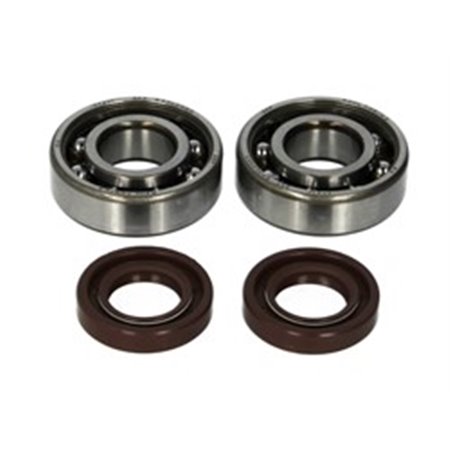 P400105444050 Crankshaft main bearing