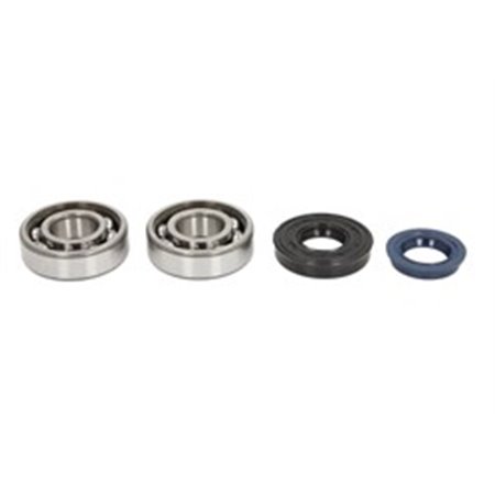 P400130444005 Crankshaft main bearing