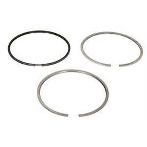 8915200000 Piston Ring Kit NE - Top1autovaruosad