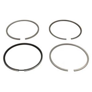 120036002700 Piston rings (101,05 STD)