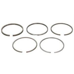 800010910025 Piston Ring Kit KOLBENSCHMIDT - Top1autovaruosad