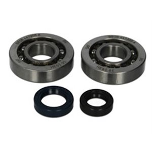P400420444001 Crankshaft main bearing