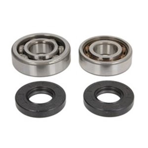 P400485444198 Crankshaft bearings set wit - Top1autovaruosad