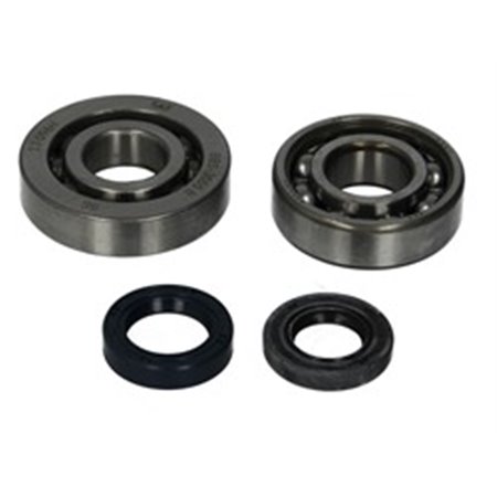 P400420444005 Crankshaft main bearing