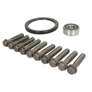 31384 Repair Kit, flywheel FEBI BILSTEIN - Top1autovaruosad