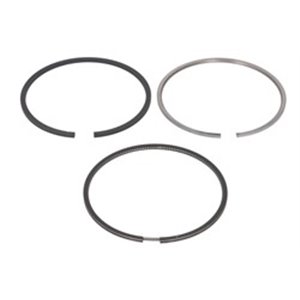 120015003700 Piston rings (102 STD 2,94 2,55 3,5 set per engine) fits: FENDT 2