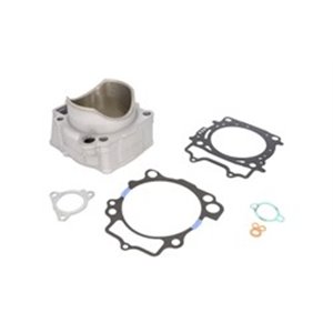 EC485-053 Cylinder  with gaskets  fits  Y - Top1autovaruosad