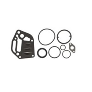 54140300 Gasket Kit, crankcase AJUSA - Top1autovaruosad