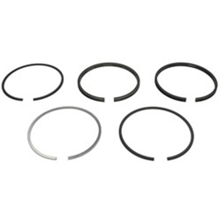 8936080000 Piston Ring Kit NE