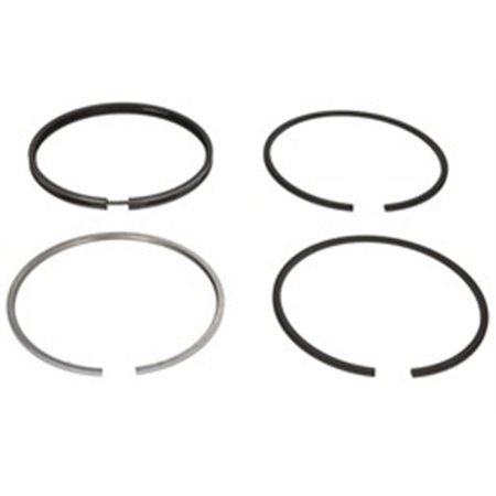 120036000800 Piston Ring Kit NE