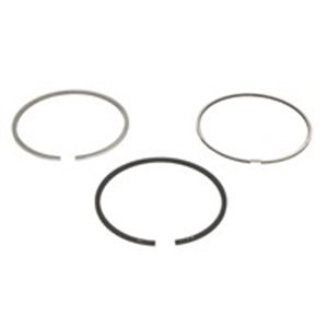 800051110000 89,9 (STD) 2 2 2 (EN) Piston ring set sobib: FORD TRANSIT 2.4D 01