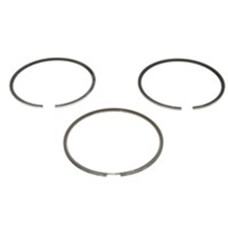 800007310050 Piston rings (102,5 +0,50 2,94 3 3,5) fits: FENDT 380 GTA ABG 18