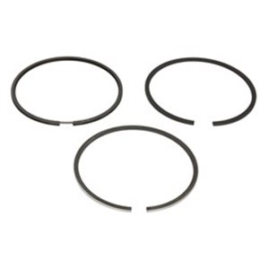 800012210025 Piston Ring Kit KOLBENSCHMIDT - Top1autovaruosad