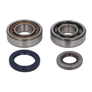 P400270444013 Crankshaft bearings set (with sealants)