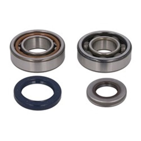 P400270444013 Crankshaft bearings set (with sealants)