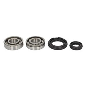 AB24-1034 Crankshaft bearings set with ga - Top1autovaruosad