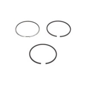 800043810000 Piston Ring Kit KOLBENSCHMIDT - Top1autovaruosad