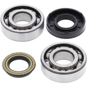 AB24-1083 Crankshaft bearings set with ga - Top1autovaruosad