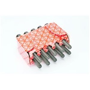 EL819824 Cylinder head bolt kit fits: ARO 10; AUDI 80 B2, 80 B3, 80 B4, 90