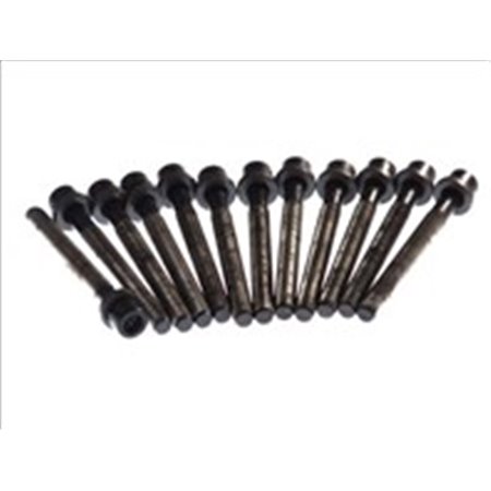 819.875 Cylinder Head Bolt Set ELRING