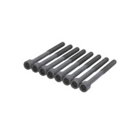 AJU81061700 Cylinder head bolt kit fits: NISSAN MICRA IV, NOTE 1.2 05.10 