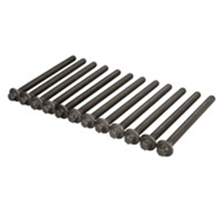 751.970 Cylinder Head Bolt Set ELRING