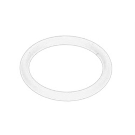 DAF1734273 Oljeinsprutningselement, O-ring (19,3x2,4mm) passar: DAF XF 105 10.0