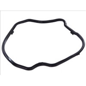 LE25058.01 Oil sump gasket (rubber) fits: IVECO (F1AE0481)