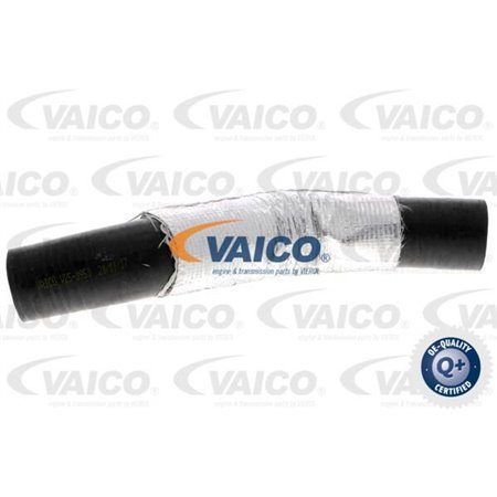 V25-0950 Патрубок воздушного радиатора VAICO 