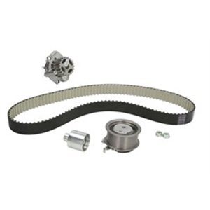 DAYKTBWP2961 Timing set (belt + pulley + water pump) fits: AUDI A3, A4 B6, A4 